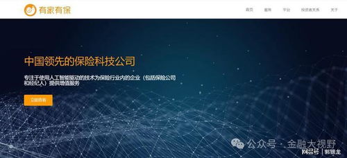 高光時(shí)刻 兩家保險(xiǎn)科技公司成功上市，技術(shù)推廣服務(wù)賦能行業(yè)新生態(tài)